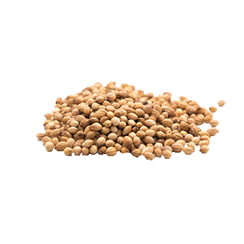 vQm Coriander seeds