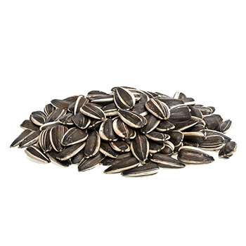 vQm Sunflower seeds